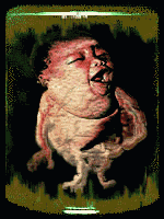 Pickled Punks, Circus Freak Show, Circus Sideshow