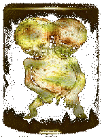 Pickled Punks, Circus Sideshow, Freak Shows